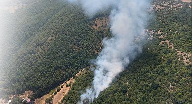 Bursa Kestel ve Harmancık'ta orman yangını... Havadan ve karadan müdahale sürüyor