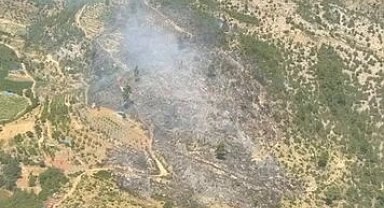 Bursa ve İzmir'de 3 yangın kontrol altında