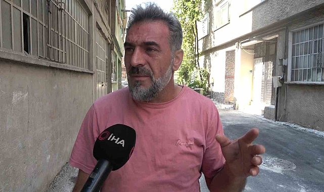 Bursa'da hayvanlara şiddet iddiası: Apartmandan dehşet çıktı, mahalleyi pireler bastı