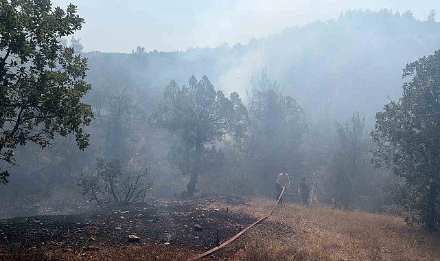 Bursa'da orman yangınına havadan ve karadan müdahale