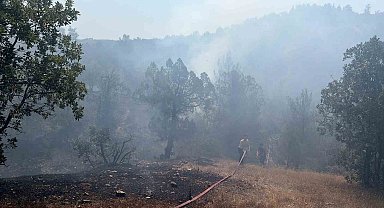 Bursa'da orman yangınına havadan ve karadan müdahale