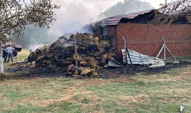 Bursa'da samanlık alevlere teslim oldu