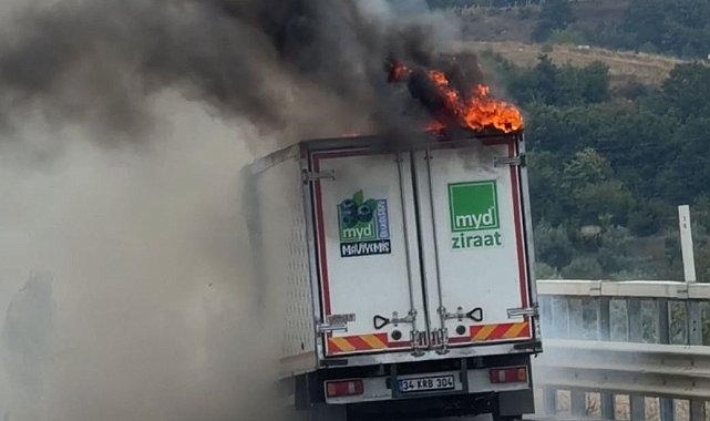 Bursa'da seyir halindeki kamyonet alevlere teslim oldu