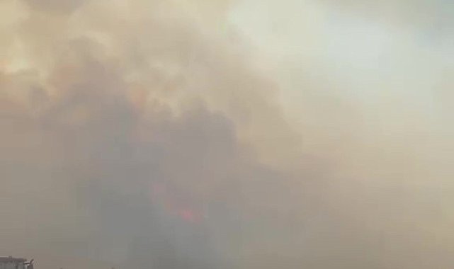 Bursa'da tarım alanlarındaki yangına itfaiye ve ormandan seri müdahale