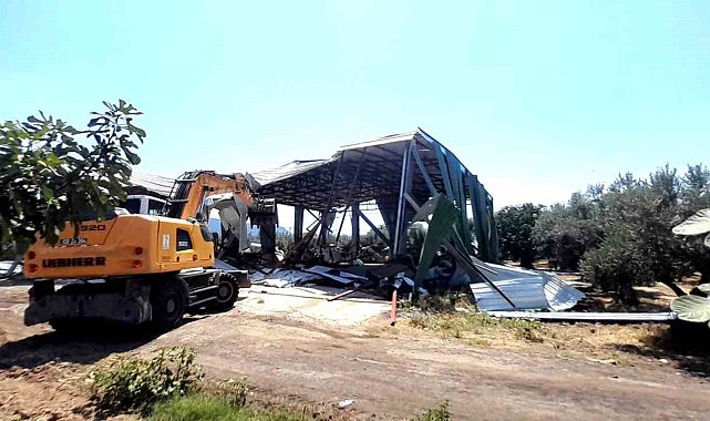 Bursa'da zeytinliğe yapılan kaçak depo böyle yıkıldı