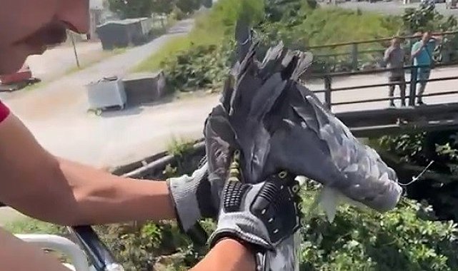 Çalıların arasına sıkışan balıkçıl kuşun imdadına itfaiye yetişti