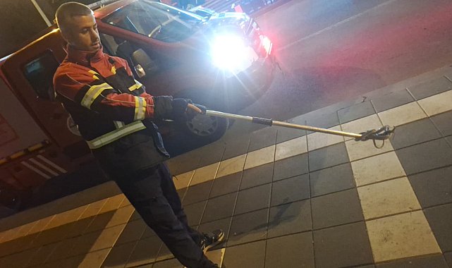 Cami bahçesine giren yılan itfaiye ekiplerince yakalandı