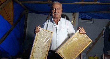 Çamoluk Bal Festivali'nde 1 milyon 400 bin liralık ağalık yarışı
