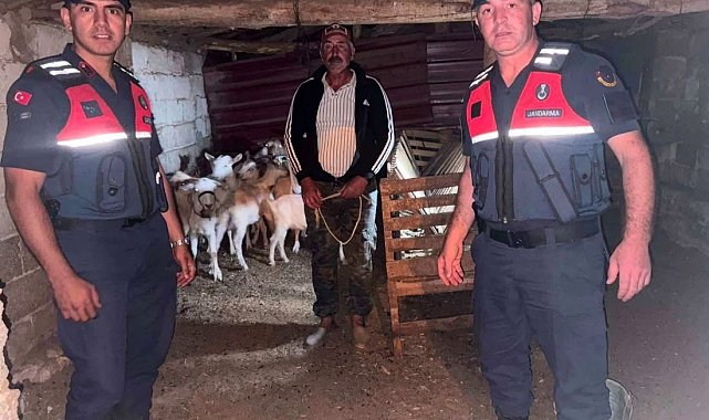 Çanakkale'de kaybolan 15 küçükbaş hayvan jandarma ekiplerince bulunarak sahibine teslim edildi