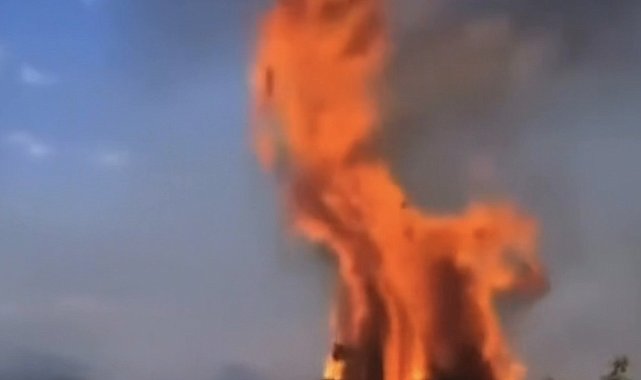 Çankırı'da örtü yangını ağaçlık alana sıçradı