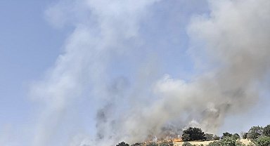 Çermik'te korkutan yangın: Alevler yerleşim yerlerine ulaşmadan söndürüldü