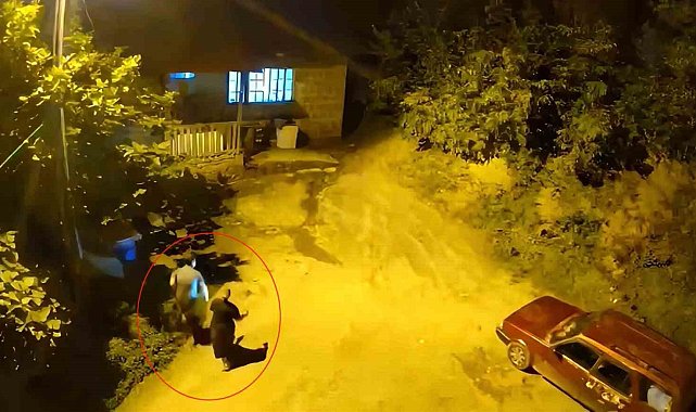 Cesaretleri ayının sesini duyana kadardı