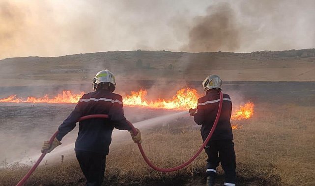 Cezayir'de son 24 saatte 6 bölgede 72 orman yangını