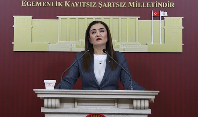 CHP Grup Başkanvekili Kılıç'tan 'silahsızlanma' vurgusu