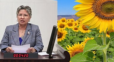 CHP'li Yontar: Ayçiçeğinde üretici tarlasını değil, zararını biçiyor