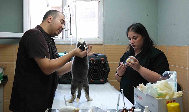 Çiftlikköy Belediyesi'nden yüzlerce can dosta destek sağlandı