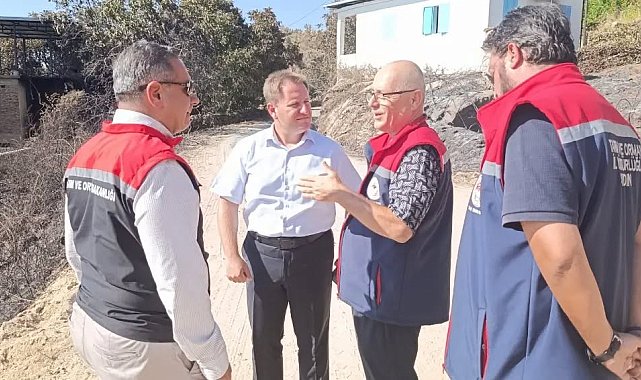 Çine'de yangın sonrası hasar tespit çalışmaları sürüyor