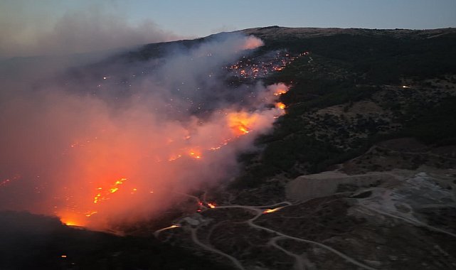 Çine'deki orman yangınında yaralanan şahıs hayatını kaybetti
