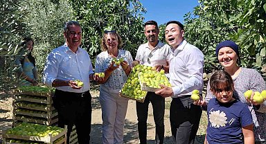Çinli fenomen çift Aydın incirine hayran kaldı