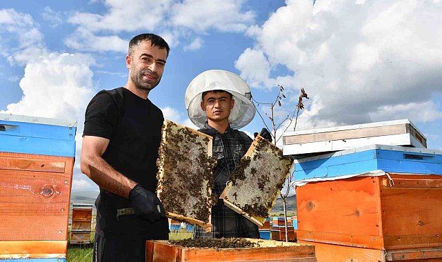 Coğrafi işaretli balın hasadı başladı: Kilosu bin 900 TL