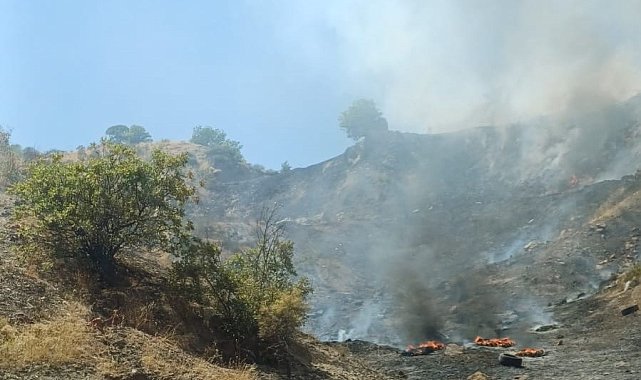 Çöp alanından sıçrayan ateş ormanlık alanı yaktı