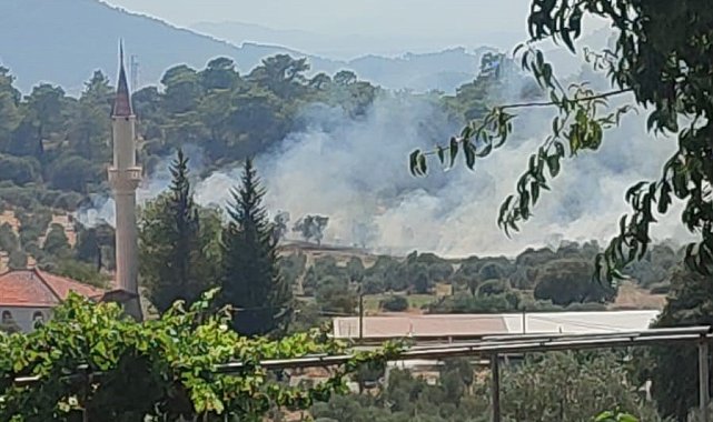 Dalaman'da orman yangını ekiplerin hızlı müdahalesi ile kontrol altına alındı