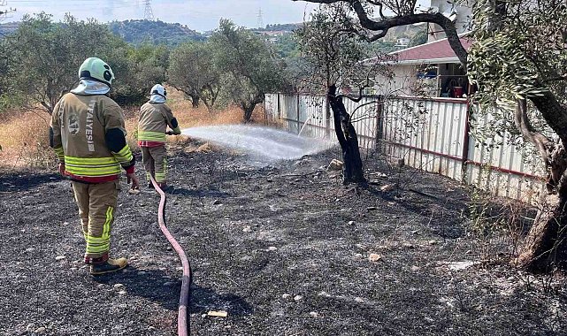 Defne'de zeytinlik alanda yangın yaşandı