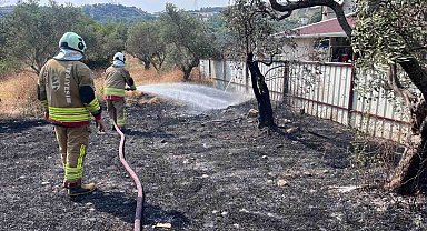 Defne'de zeytinlik alanda yangın yaşandı