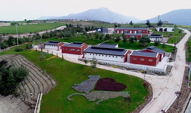 Denizli Büyükşehir Belediyesinden barınak iddialarına suç duyurusu