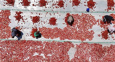 Diyarbakır'da mevsimlik işçilerin yaptığı iş kavurucu sıcak gerektiriyor