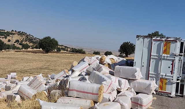 Diyarbakır'da saman yüklü kamyon devrildi