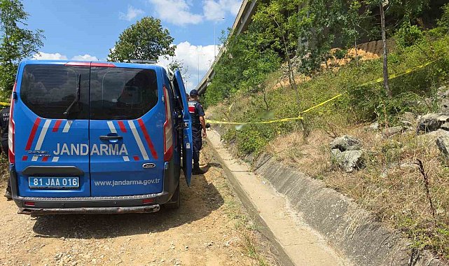 Doktorun cansız bedeni viyadüğün altında bulundu