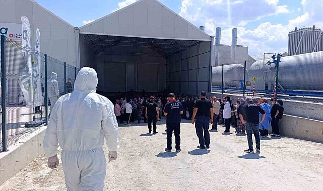Domates serasında zehirlenme: 10 çalışan hastaneye kaldırıldı
