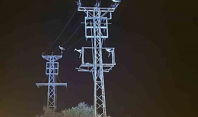 Dönüş yolundaki leyler bazı bölgeleri elektriksiz bıraktı
