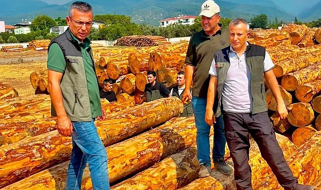 Dörtyol'da orman işletmesinin çalışmaları değerlendirildi