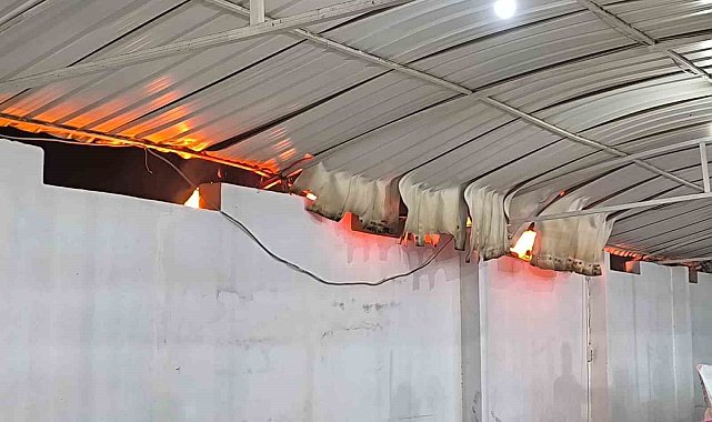 Düğünde çıkan yangına aldırış etmeden halaya devam ettiler