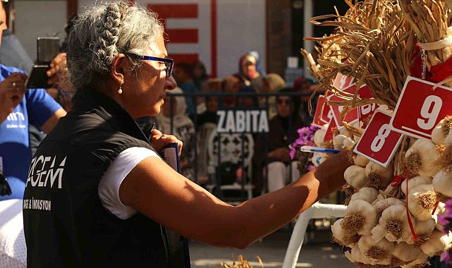 Dünyaca ünlü Taşköprü sarımsağı festivalde yarıştı: 80 demet arasından en iyi sarımsak seçildi