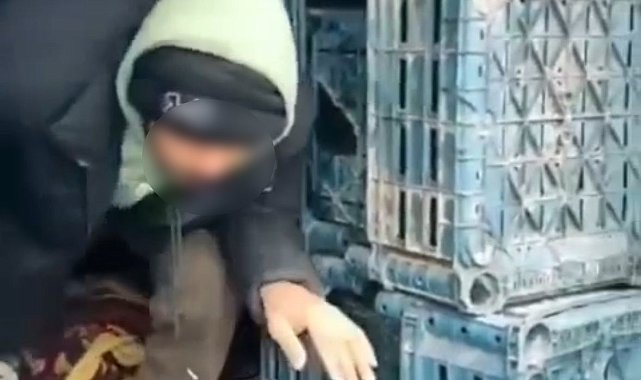 Düzce'de 7 düzensiz göçmen yakalandı