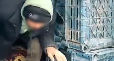 Düzce'de 7 düzensiz göçmen yakalandı