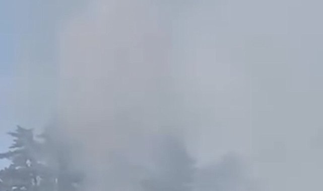 Düzce'de orman yangını kısa sürede söndürüldü
