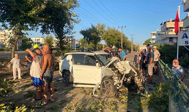 Edremit'te otomobil ağaca çarptı