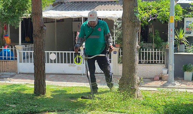Efeler'de yeşil alanların bakımı sürüyor