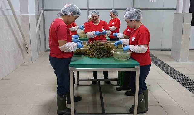 Efeler'in yöresel lezzetleri e-ticaretle Türkiye'ye ulaşıyor