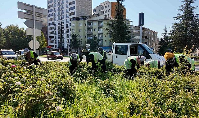 Elazığ Belediyesi, kent genelinde çalışmalarını sürdürüyor