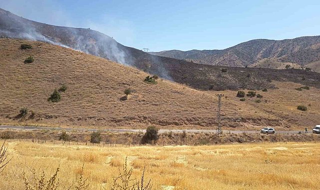 Elazığ'da anız yangını söndürüldü