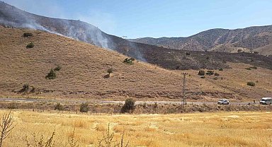 Elazığ'da anız yangını söndürüldü