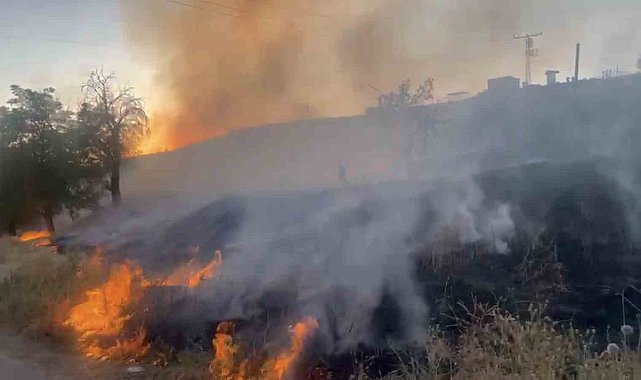 Elazığ'da otluk alanda çıkan yangın söndürüldü