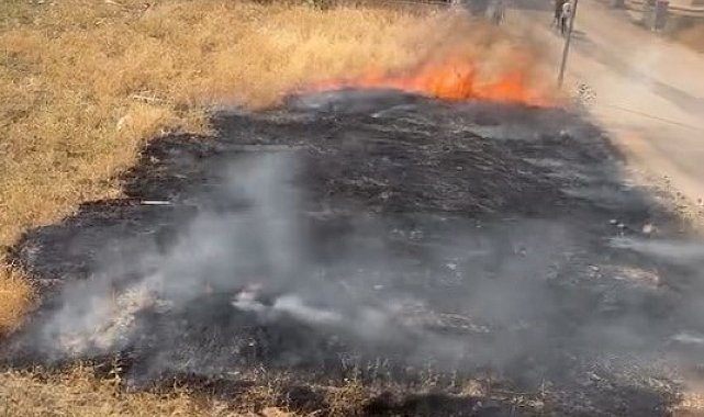 Elazığ'da otluk alanda çıkan yangın söndürüldü