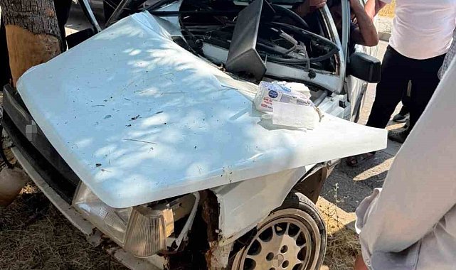 Elazığ'da otomobil ağaca çarptı: 1 yaralı