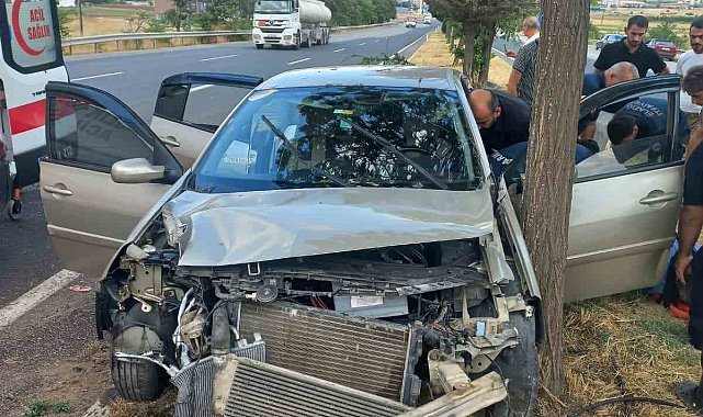 Elazığ'da otomobil ağaca çarptı: 4 yaralı